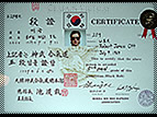 Photo of the certificate. Click for a larger image.